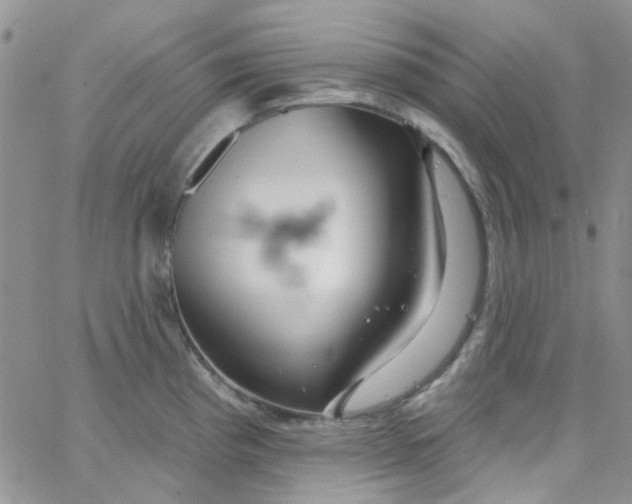 X0000062911193200602031849