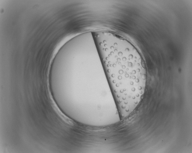 X0000062911195200602031849