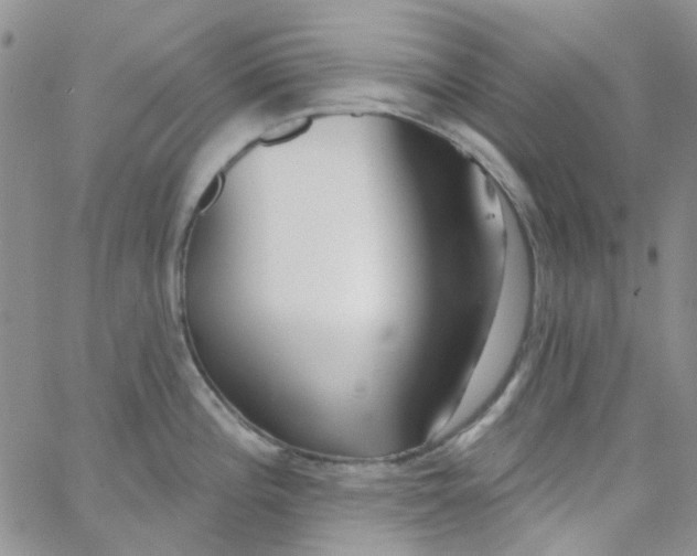 X0000062911196200602031849