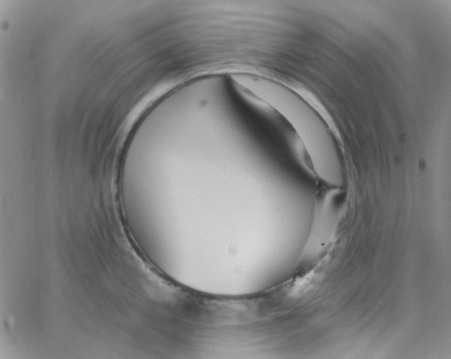 X0000062911197200602031849