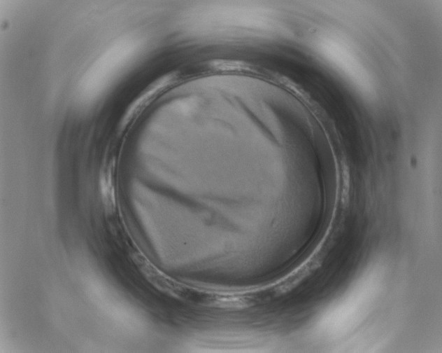 X0000062911198200602031849