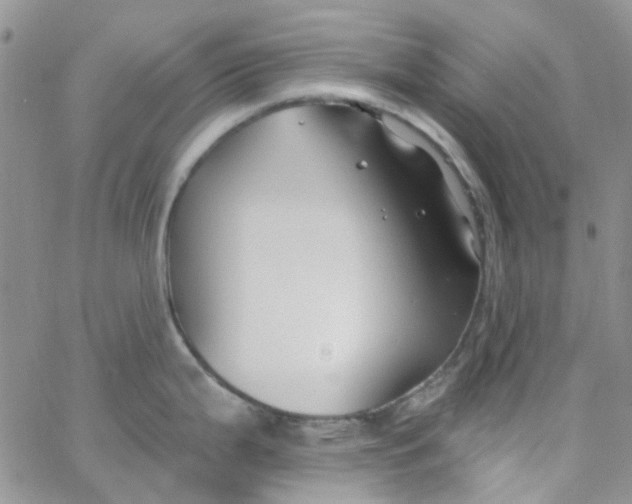 X0000062911199200602031849