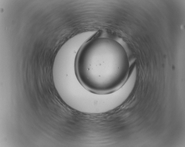 X0000062911202200602031848