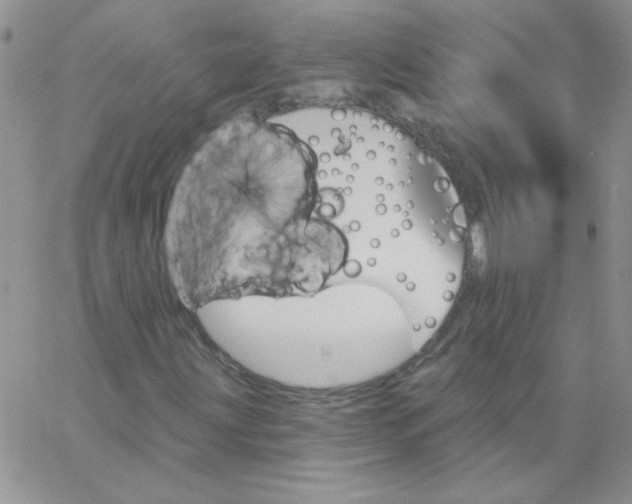 X0000062911203200602031848