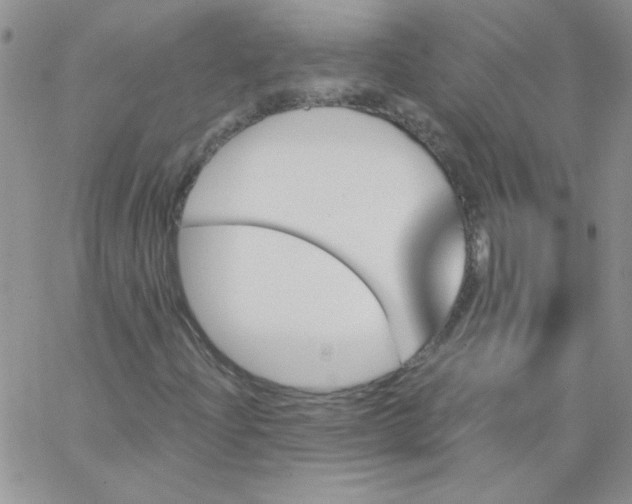 X0000062911204200602031848