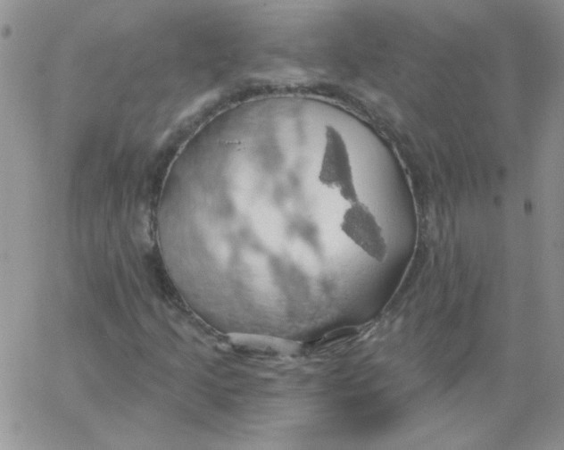 X0000062911205200602031848