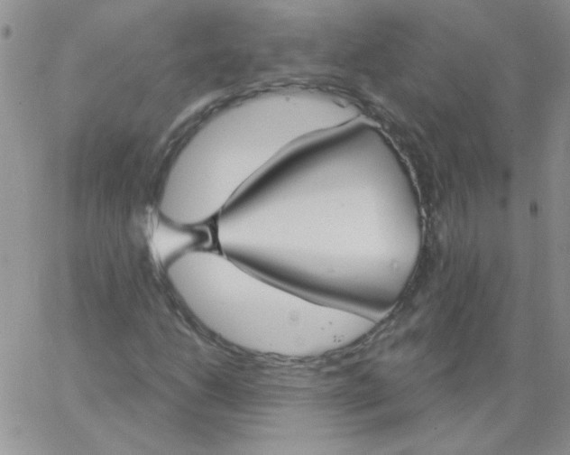 X0000062911206200602031848