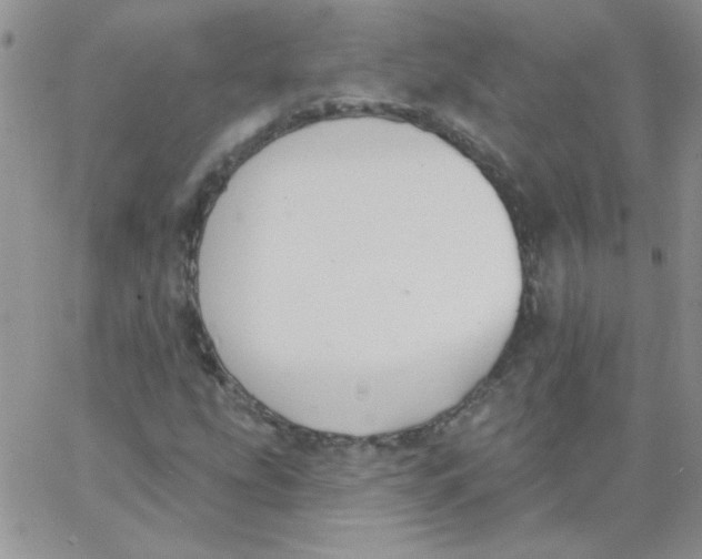 X0000062911207200602031848