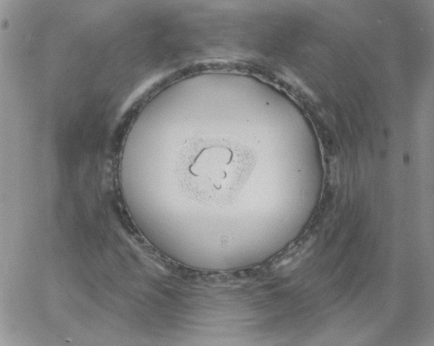 X0000062911208200602031848