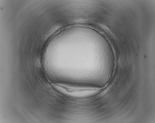 X0000062911209200602031848