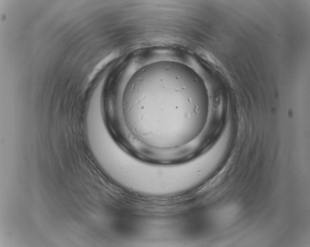 X0000062911210200602031848