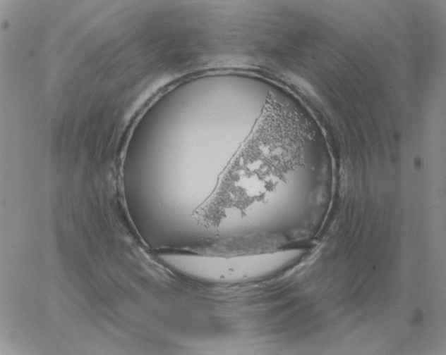 X0000062911212200602031848