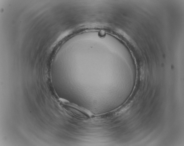 X0000062911213200602031848