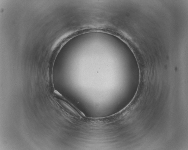 X0000062911214200602031848