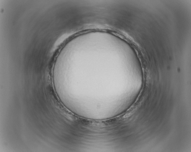 X0000062911215200602031848