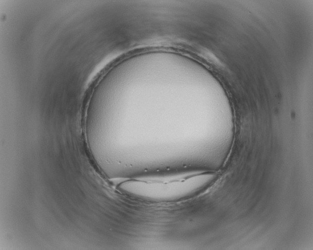 X0000062911216200602031848