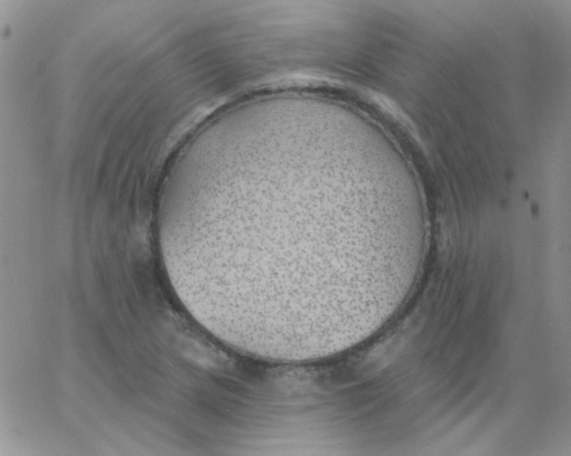 X0000062911217200602031849