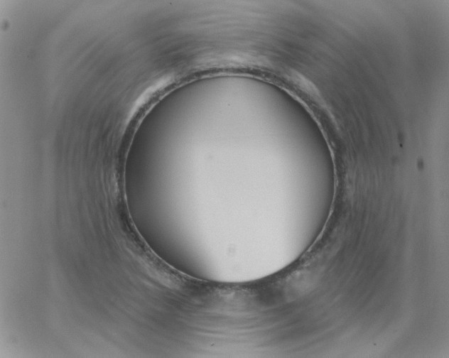 X0000062911218200602031849