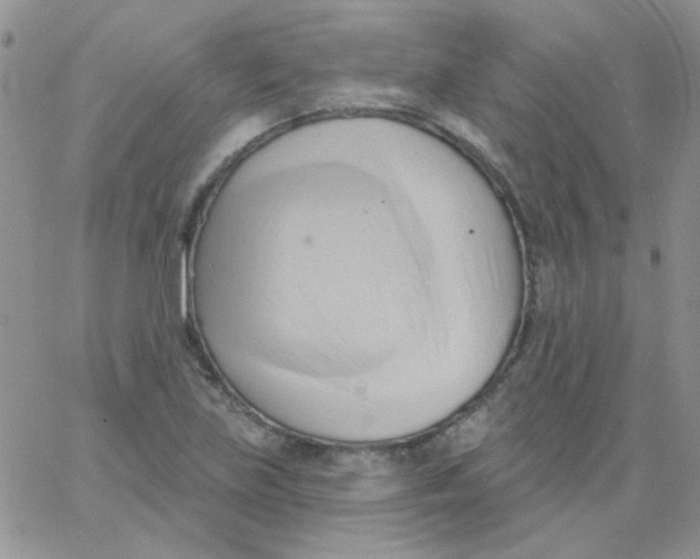 X0000062911219200602031849