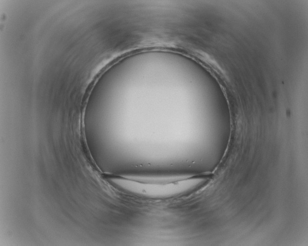 X0000062911220200602031849