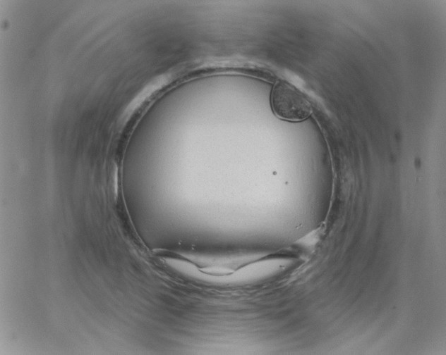 X0000062911221200602031849