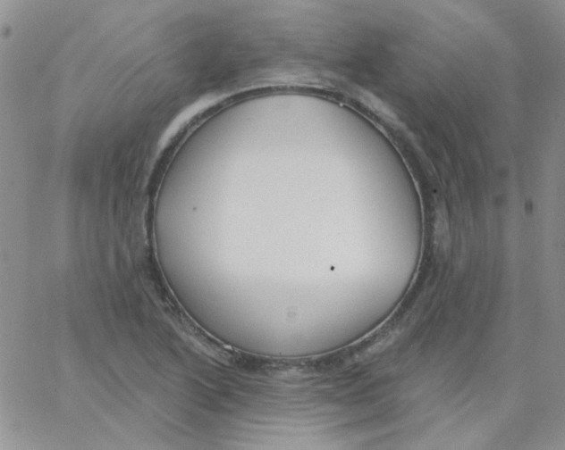 X0000062911222200602031849