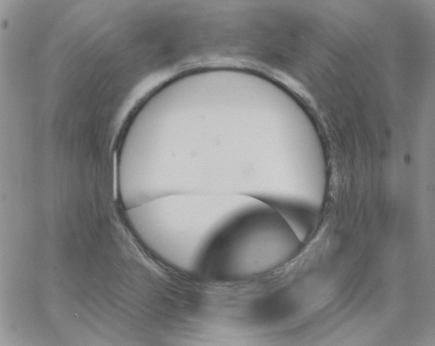 X0000062911223200602031849