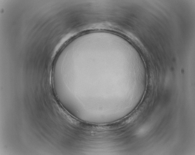 X0000062911224200602031849