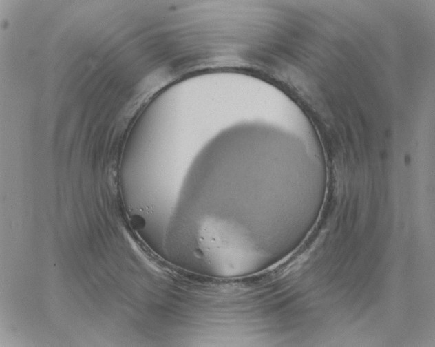 X0000062911225200602031849