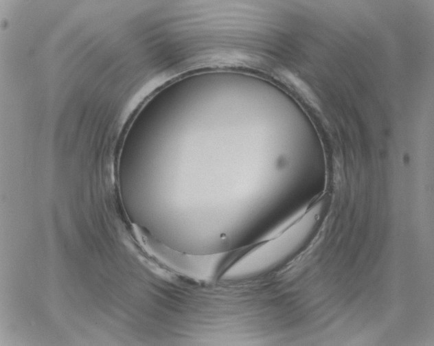 X0000062911226200602031849