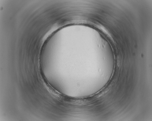 X0000062911229200602031849