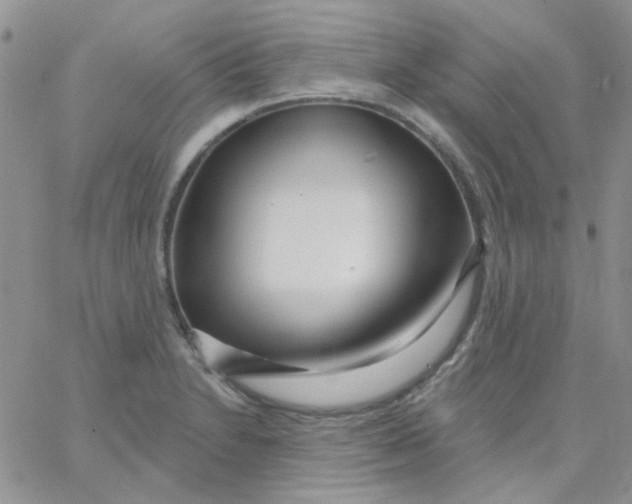 X0000062911230200602031849