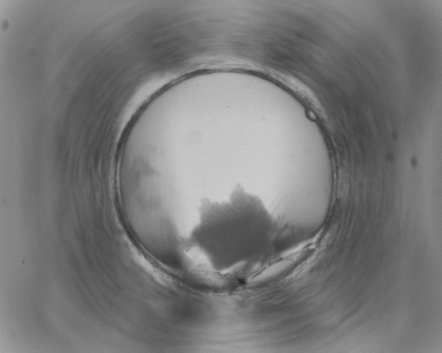 X0000062911231200602031849