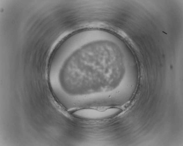 X0000062911232200602031849