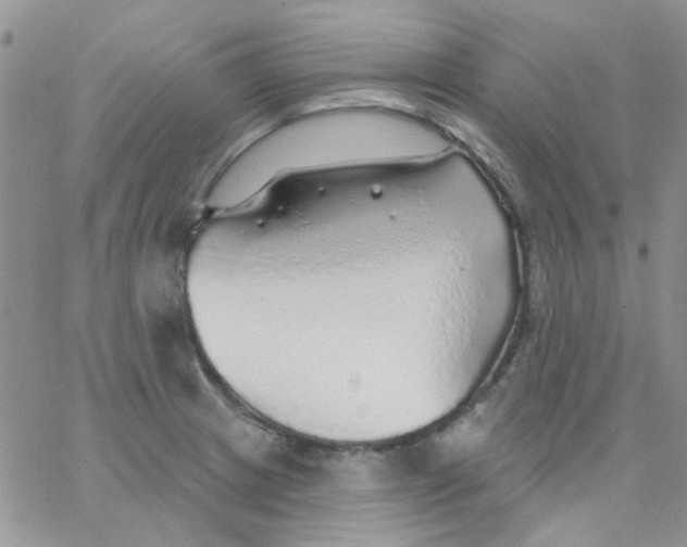 X0000062911233200602031849