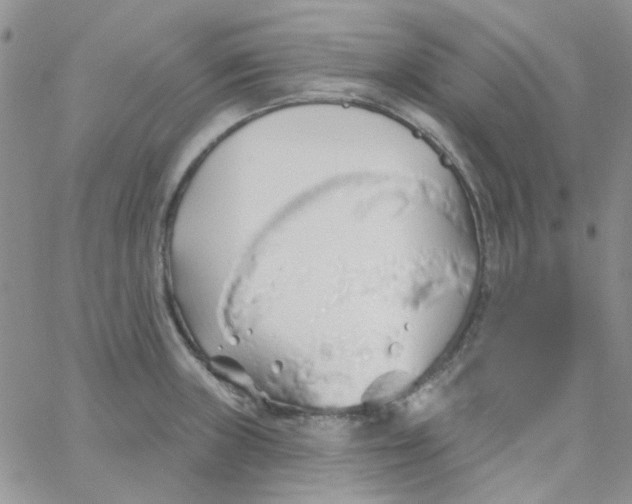 X0000062911235200602031849