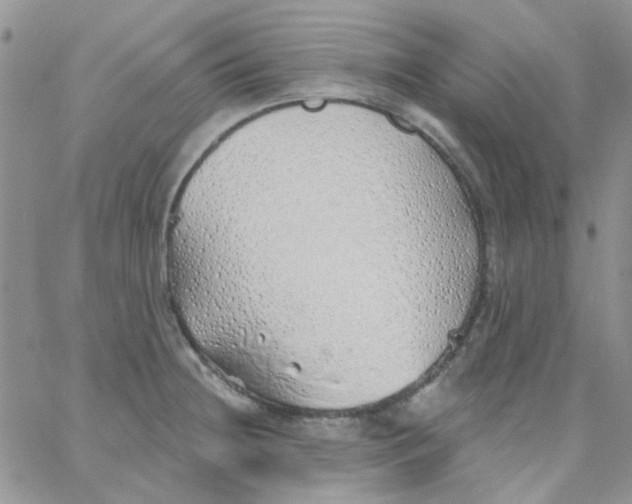 X0000062911236200602031849