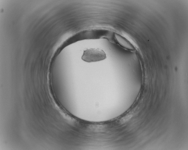 X0000062911237200602031849