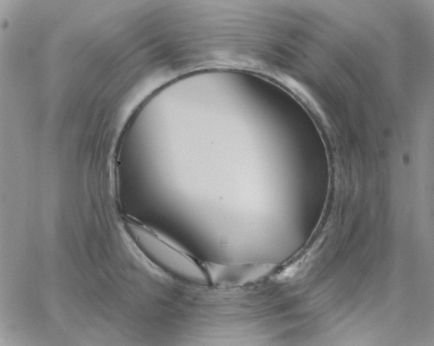 X0000062911238200602031849