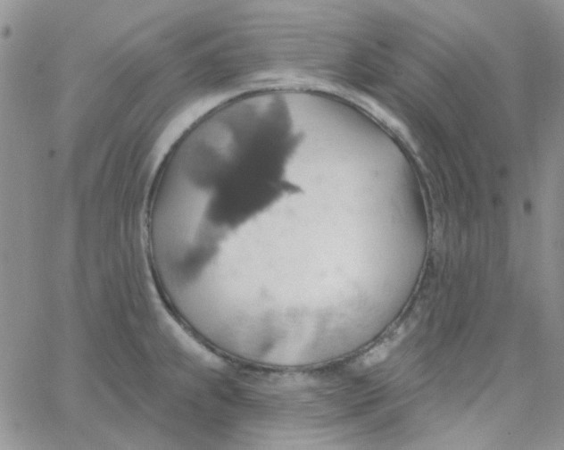 X0000062911239200602031849