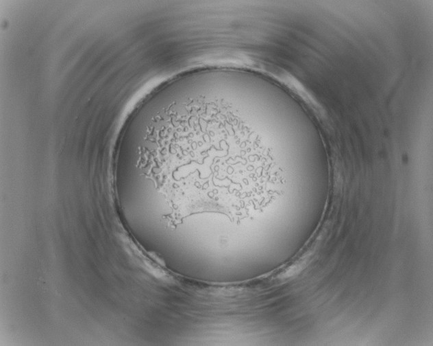 X0000062911240200602031849