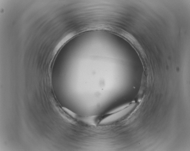 X0000062911242200602031849