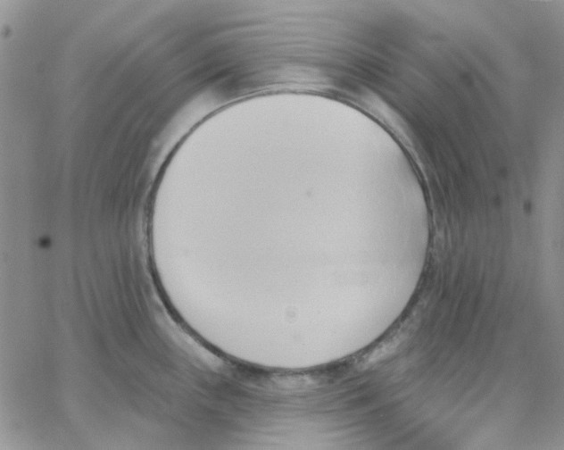 X0000062911243200602031849