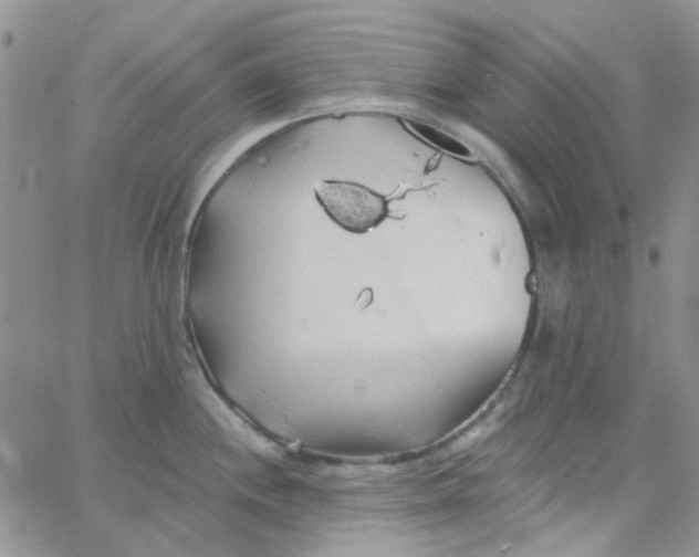 X0000062911244200602031849