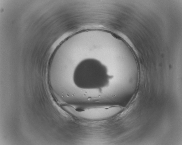 X0000062911245200602031849