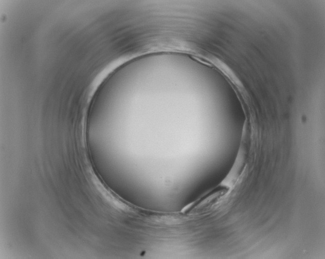 X0000062911246200602031849