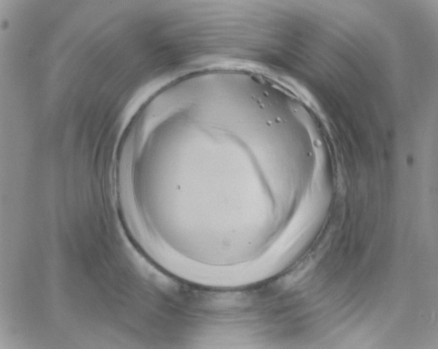 X0000062911247200602031849