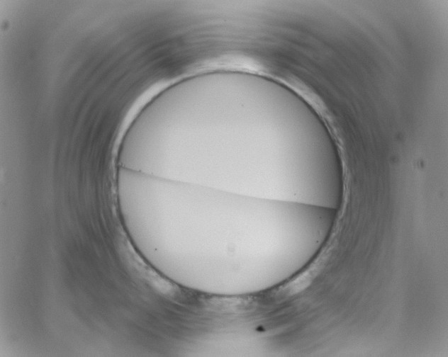 X0000062911248200602031849