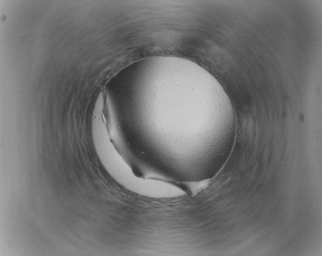 X0000062911250200602031848