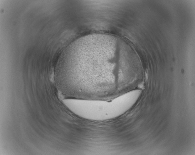 X0000062911251200602031848